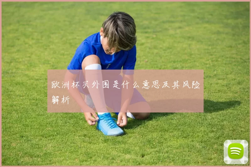 欧洲杯买外围是什么意思及其风险解析