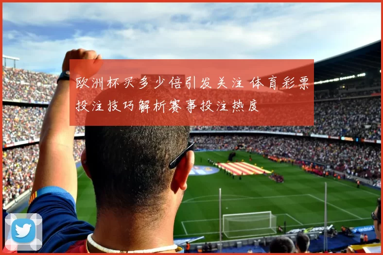 欧洲杯买多少倍引发关注 体育彩票投注技巧解析赛事投注热度