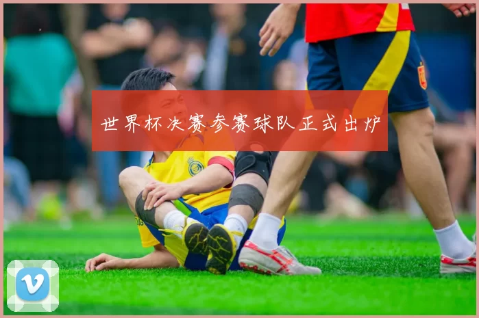世界杯决赛参赛球队正式出炉