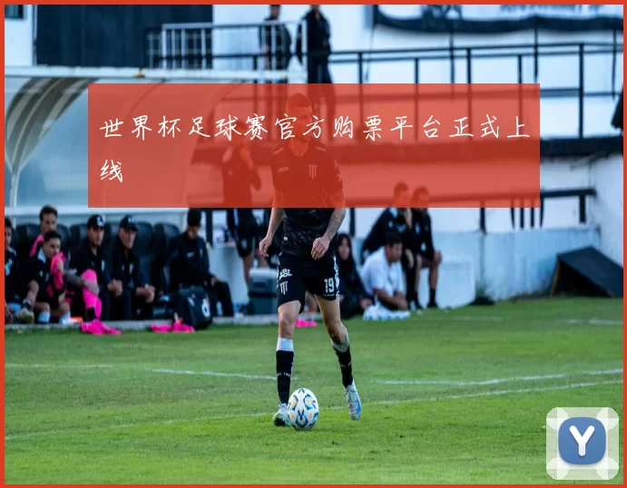 世界杯足球赛官方购票平台正式上线