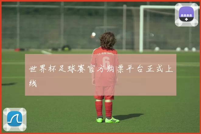 世界杯足球赛官方购票平台正式上线