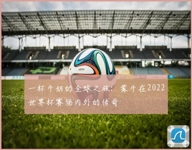 一杯牛奶的全球之旅:蒙牛在2022世界杯赛场内外的传奇
